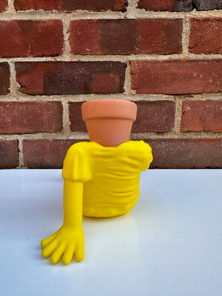 YELLOW POTHEAD