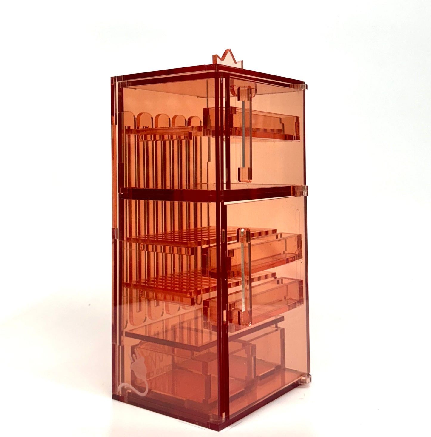 FRIDGE X CANAL PLASTIC CENTER : Rose Gold FRIDGE